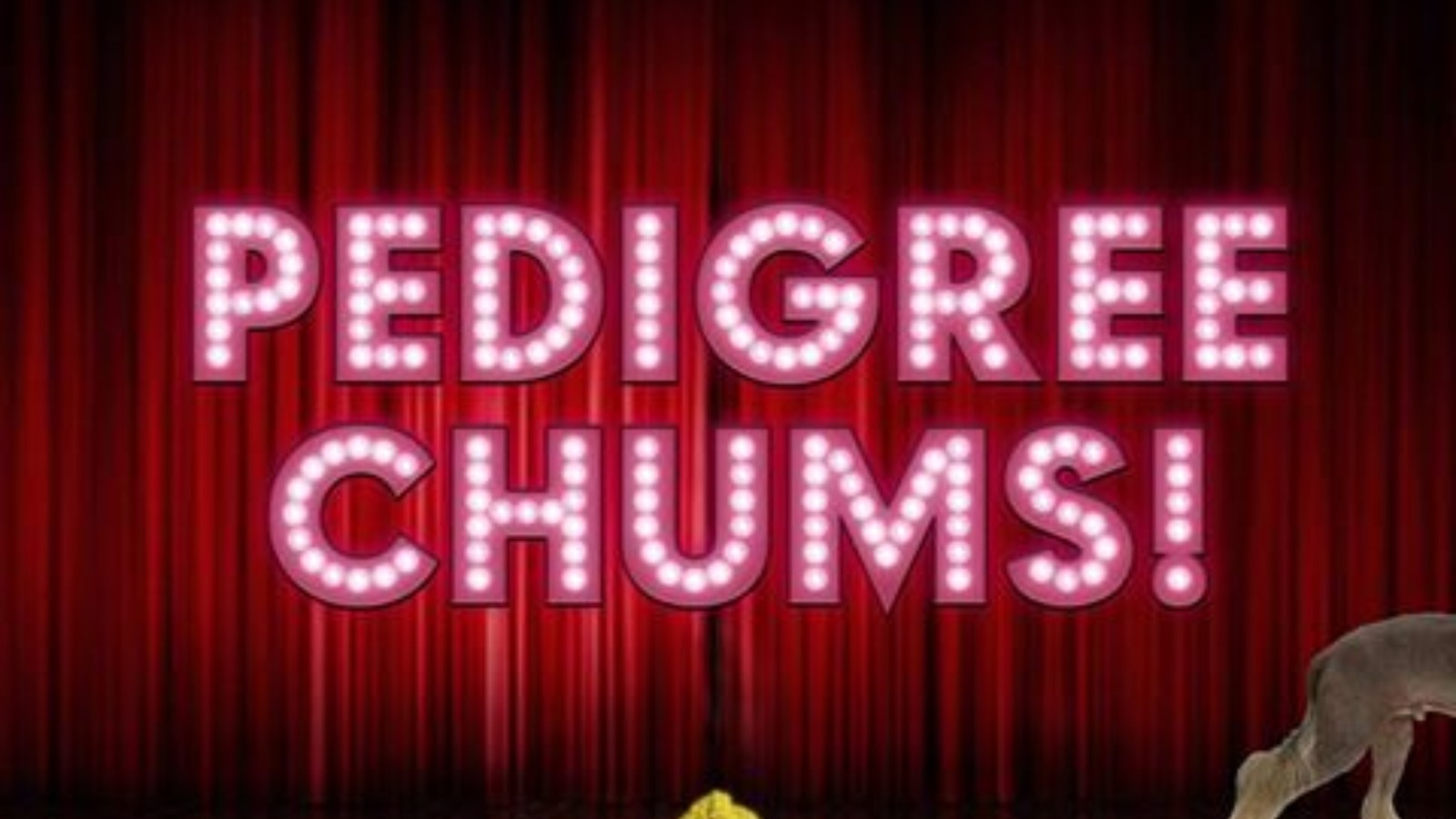 The words 'PEDIGREE CHUMS!' are in large pink lights against a red curtain background on a stage. A dog is half visible walking off the stage.